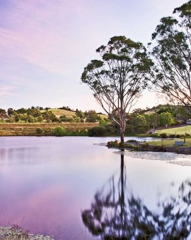 Mount Annan landscape photo